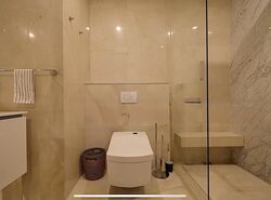 The Scotts Tower (D9), Condominium #462980611